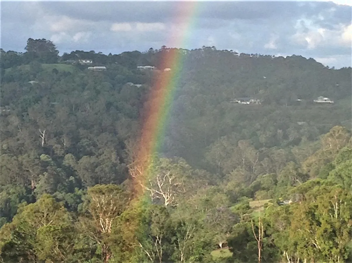 Holiday home The Avenue At Montville Cottage Australia